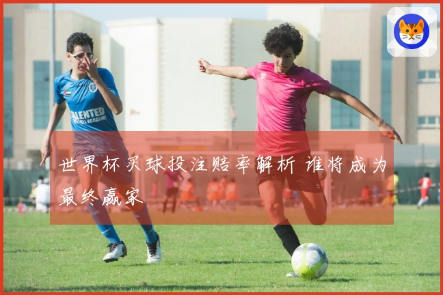 世界杯买球投注赔率解析 谁将成为最终赢家