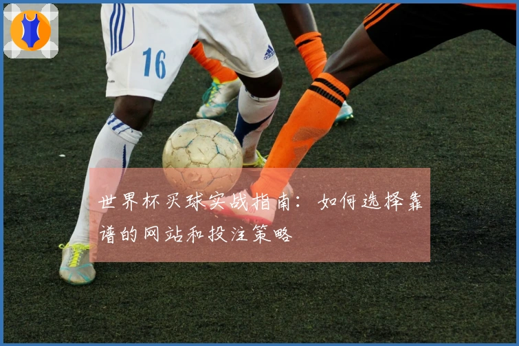 世界杯买球实战指南：如何选择靠谱的网站和投注策略
