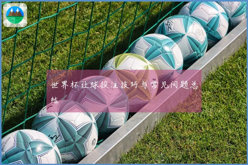 世界杯让球投注技巧与常见问题总结