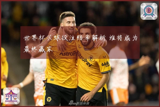 世界杯买球投注赔率解析 谁将成为最终赢家